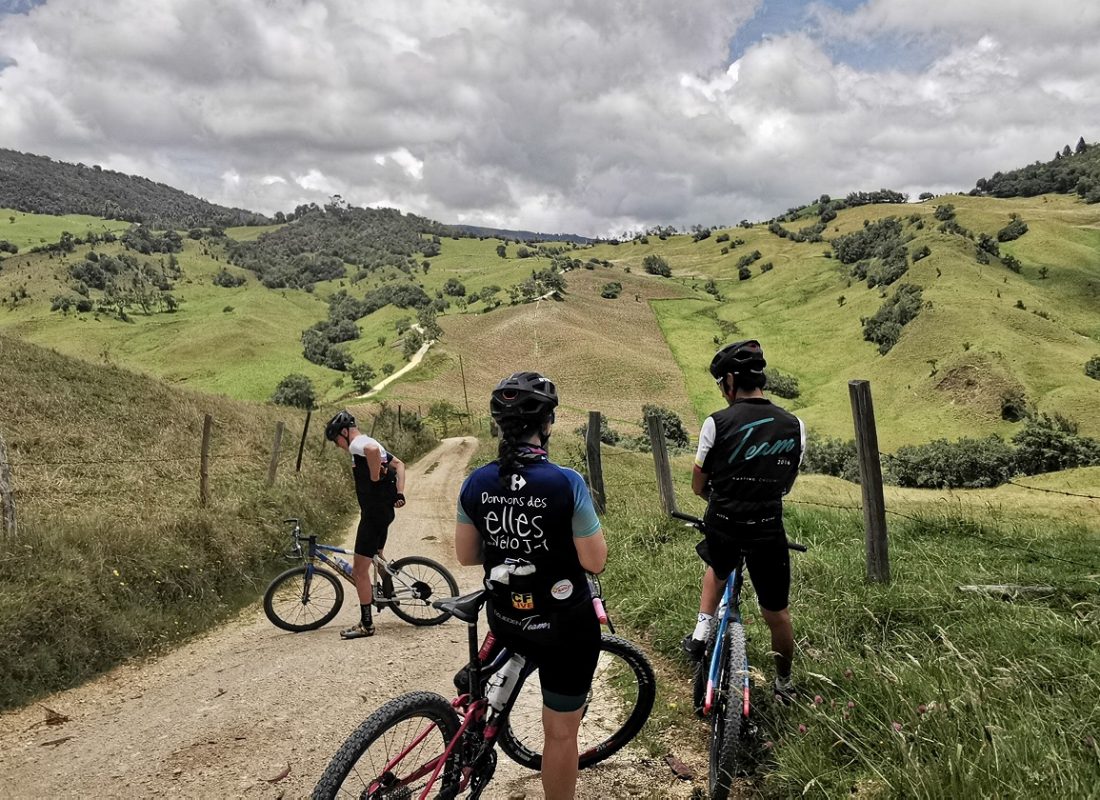 IMG_20200913_122231 - copia